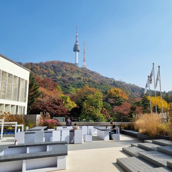 남산도서관에서 바라본 서울남산타워